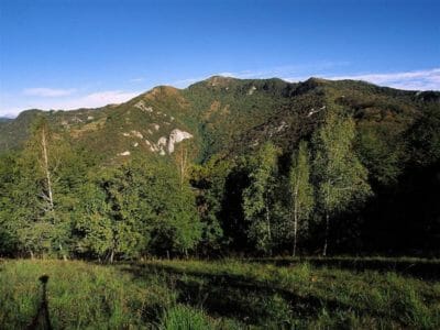 Da Villa d’Almè a Monte di Nese